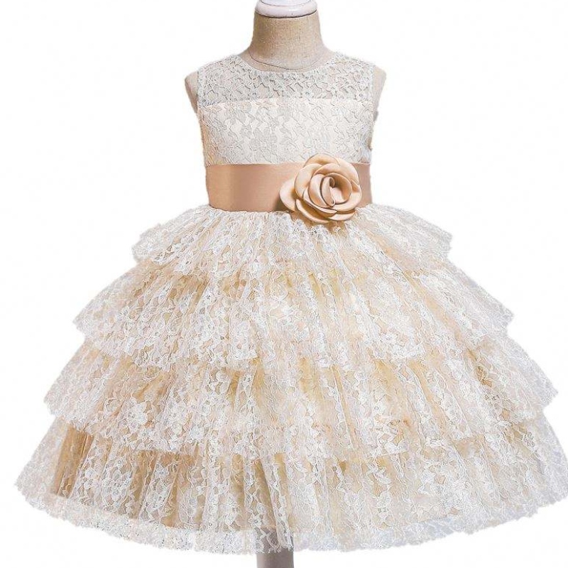 Baige Summer Fashion Tulled Dress Flower Girl Girl Wedding Dress